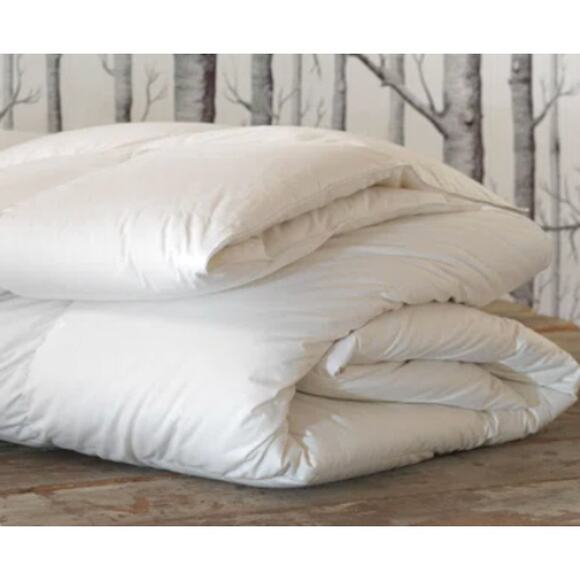 De Medici by Eastern Accents Down Comforter Insert Queen - Picture 1 of 5